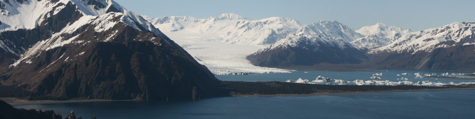 Glacier in Kenai Fjords National Park
