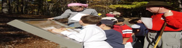 Kids looking at wayside doing battlefield award test