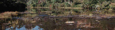 Little River