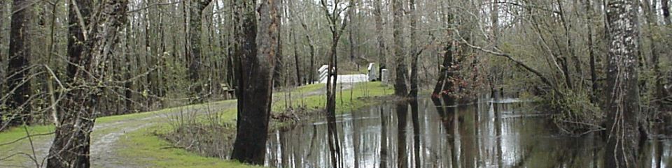 Moores Creek Bridge