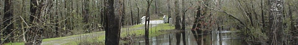 Moores Creek Bridge