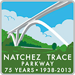 75th Anniversary Logo