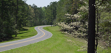 The modern Parkway