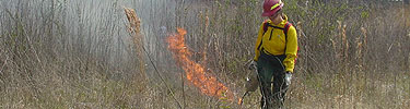 Prescribed burn at the Chickasaw Village Site, near Tupelo, Mississippi