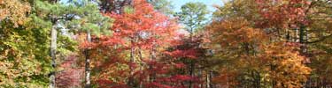 Fall colors along the Natchez Trace Parkway