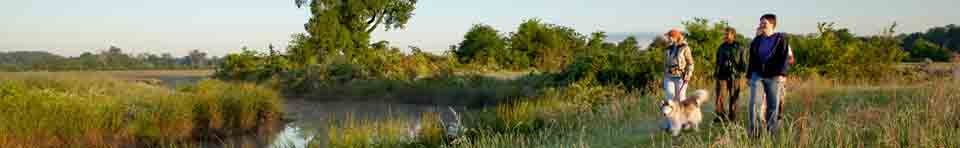 3 hikers and a dog walk next to a creek
