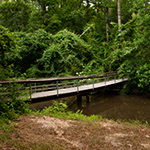 bridge on the Yockanookany section of the NST