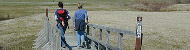 The Tupelo Trail runs through agricultural fields.