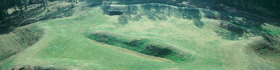 Aerial View of the Star Fort by William A. Bake