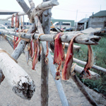 Fish Drying Rack