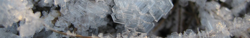 Ice crystals form on ground vegetation