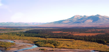 Kelly River fall colors in the Noatak National Preserve
