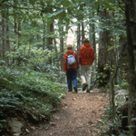 Two hikers on a trail