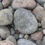Rocks on Display