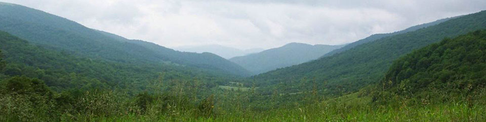 Roaring Creek viewshed in North Carolina looking east at about 4,600 feet elevation.