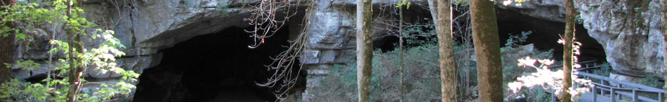 Cave entrance of Russell Cave National Monument