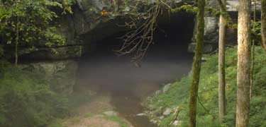 Let Entrance to RUCA