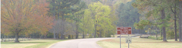 Driveway to RUCA