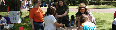 Native American Festival