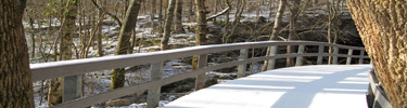 Snowy Boardwalk