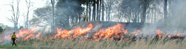 Prescribed Fire at Fortress Rosecrans