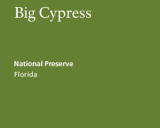 Big Cypress National Preserve