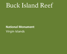 Buck Island Reef National Monument