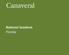 Canaveral National Seashore