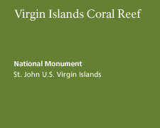 Virgin Islands Coral Reef National Monument