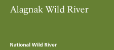 Alagnak Wild River