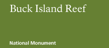 Buck Island Reef National Monument