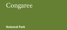Congaree National Park