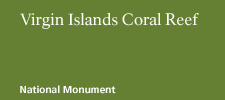 Virgin Islands Coral Reef National Monument