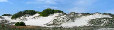 Sand Dune at American Beach