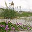 Talbot Islands State Parks