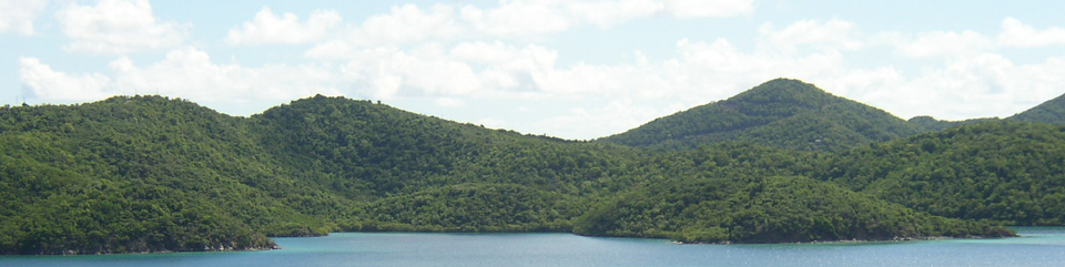View of Virgin Islands Coral National Monument at Hurricane Hole.