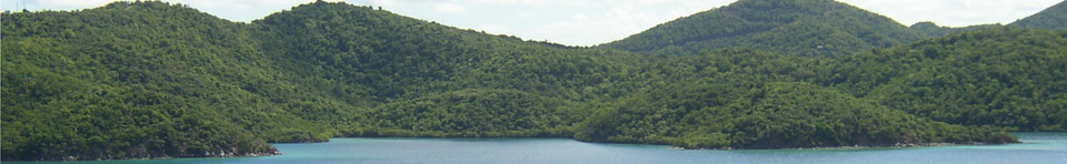 View of Virgin Islands Coral National Monument at Hurricane Hole.