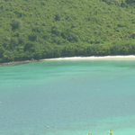 Patch of seagrass is visible in Maho Bay from the Maho/Francis Bay overlook.