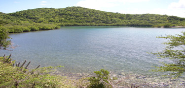 View of Hurricane Hole in Virgin Island Coral Reef National Monument
