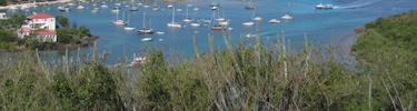 St. John Aministrator's Office complex sit in the middle of Cruz Bay Harbor