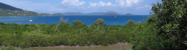 Scene overlooking Francis Bay Pond with Peter Bay in the background.