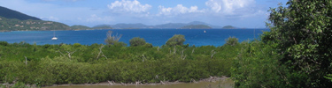 Edge of Francis Bay pond in foreground with St. Thomas in background