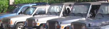 Rental cars, usually four-wheel drive jeeps, are popular for getting around the Park