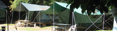 Green Canvas tents provided at Cinnamon Bay Campground