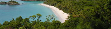 Trunk Bay