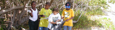 Students participate in coast weeks clean-up campaigns in the Park