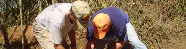 Volunteers perform maintenance on the Lind Point Trail
