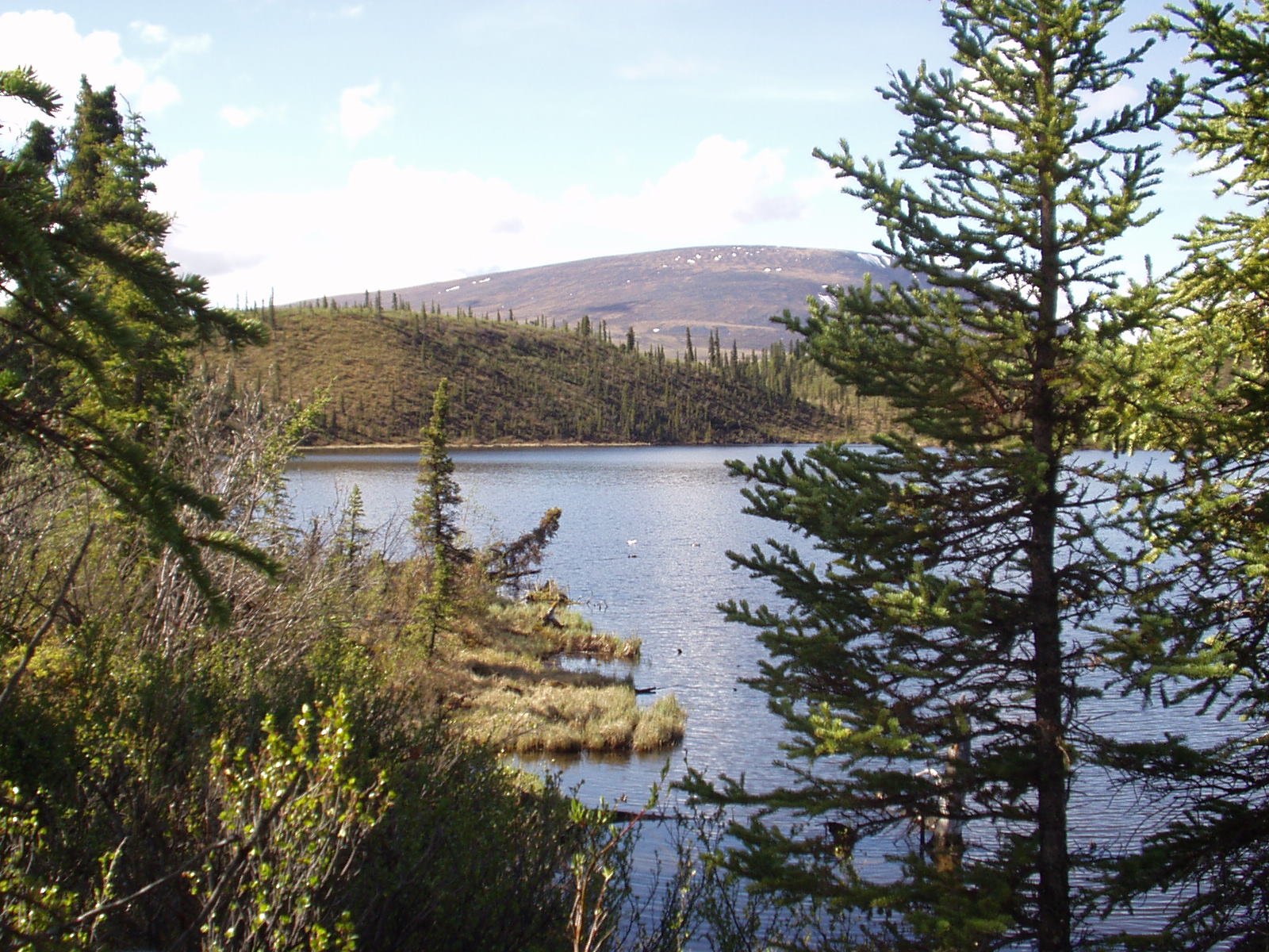 Leave No Trace