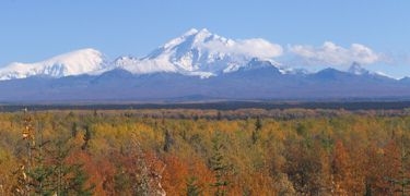 Fall colors and Mount Drum  photo by T. VandenBerg