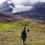 Leave No Trace